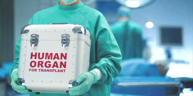 España, en primera línea de trasplante de órganos